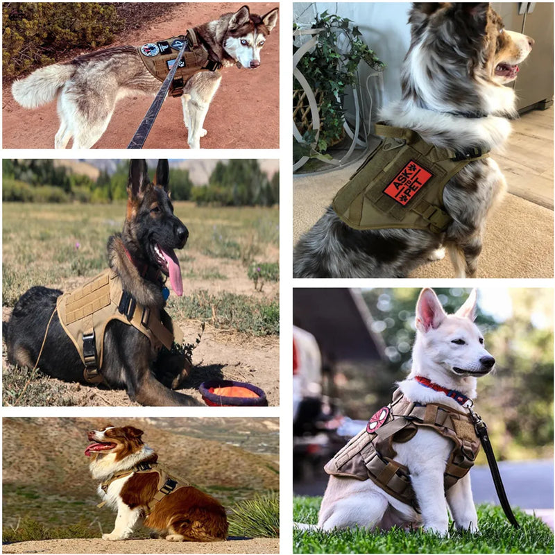 German Shepherd Dog Tactical Harness