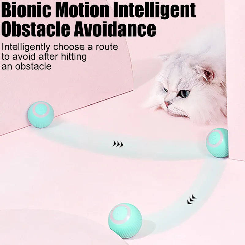 Cat Electric Cheerble Ball Toys