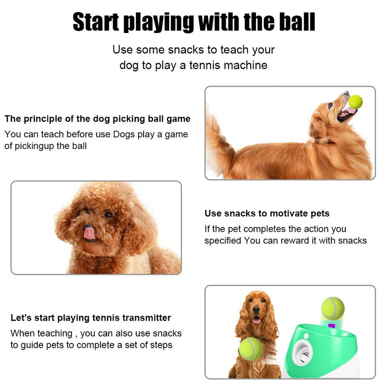 Dog Tennis Launcher Throwing Machine