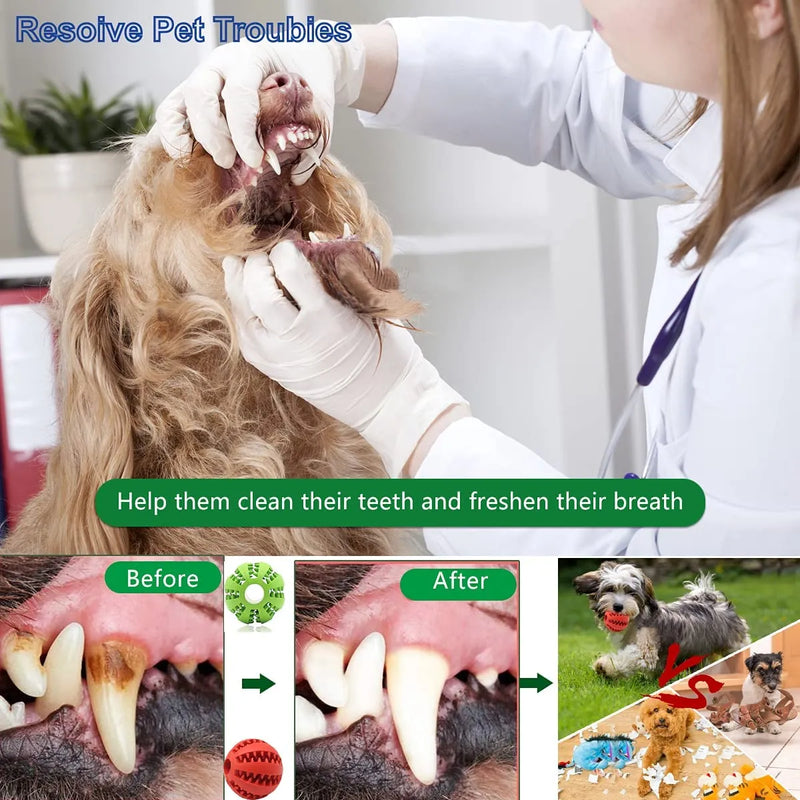 Pet Tooth Cleaning Food Ball