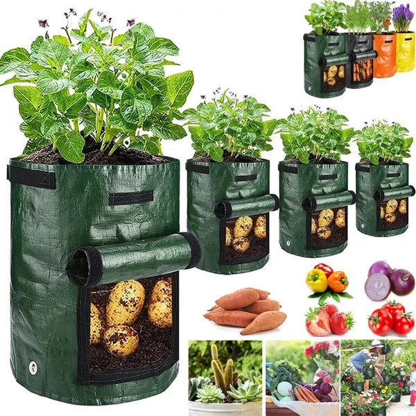 Potato Vegetable Planter Growing Bag