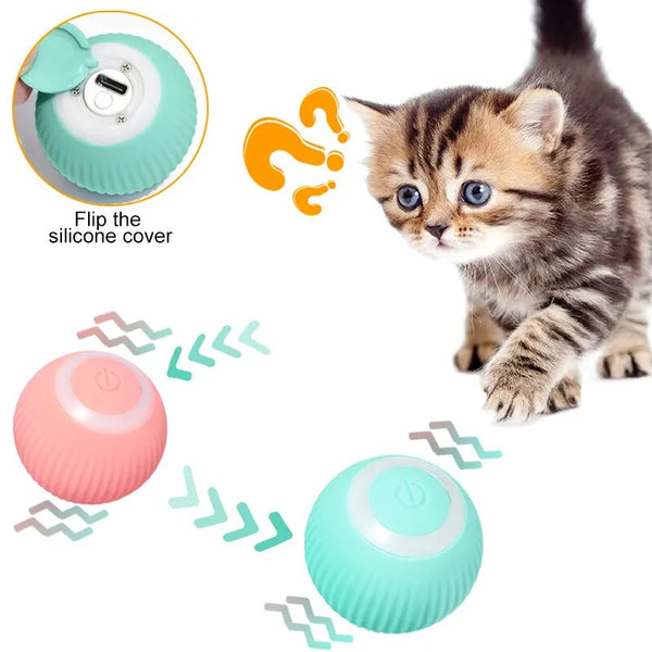 Cat Electric Cheerble Ball Toys