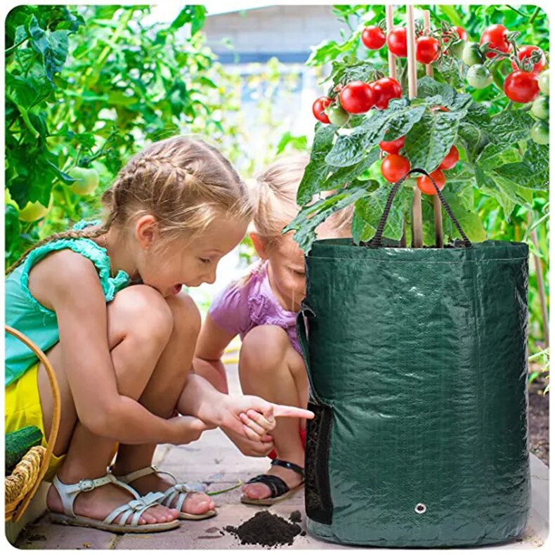 Potato Vegetable Planter Growing Bag