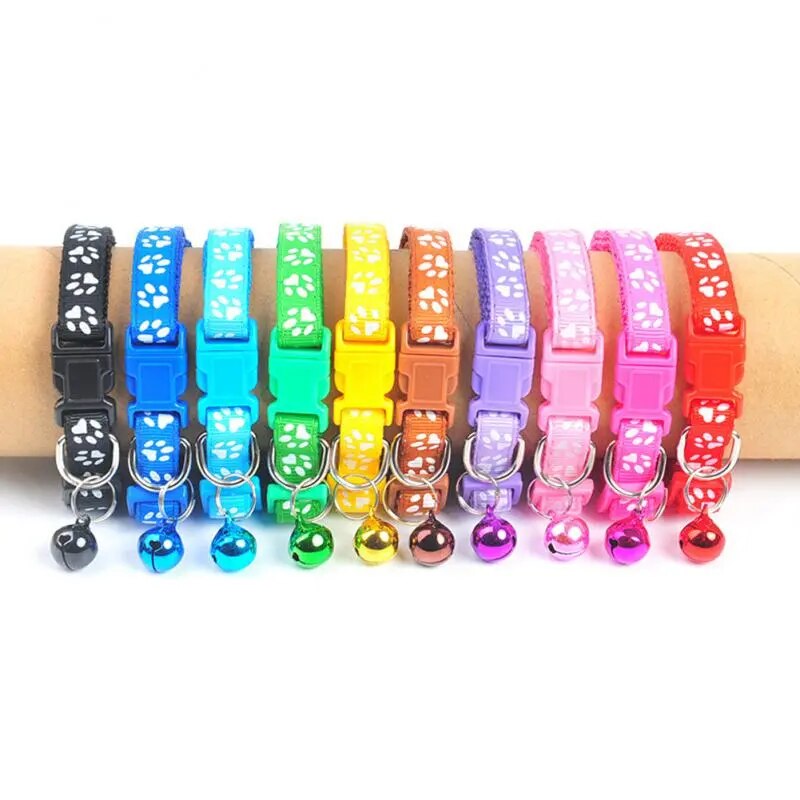 Pet Alloy Buckle Collar