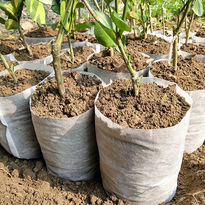 Eco-Friendly Planting Nursery Bag