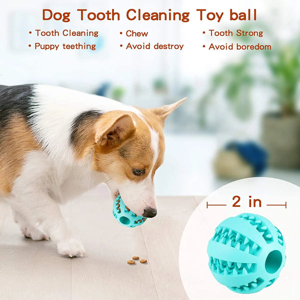 Pet Tooth Cleaning Food Ball